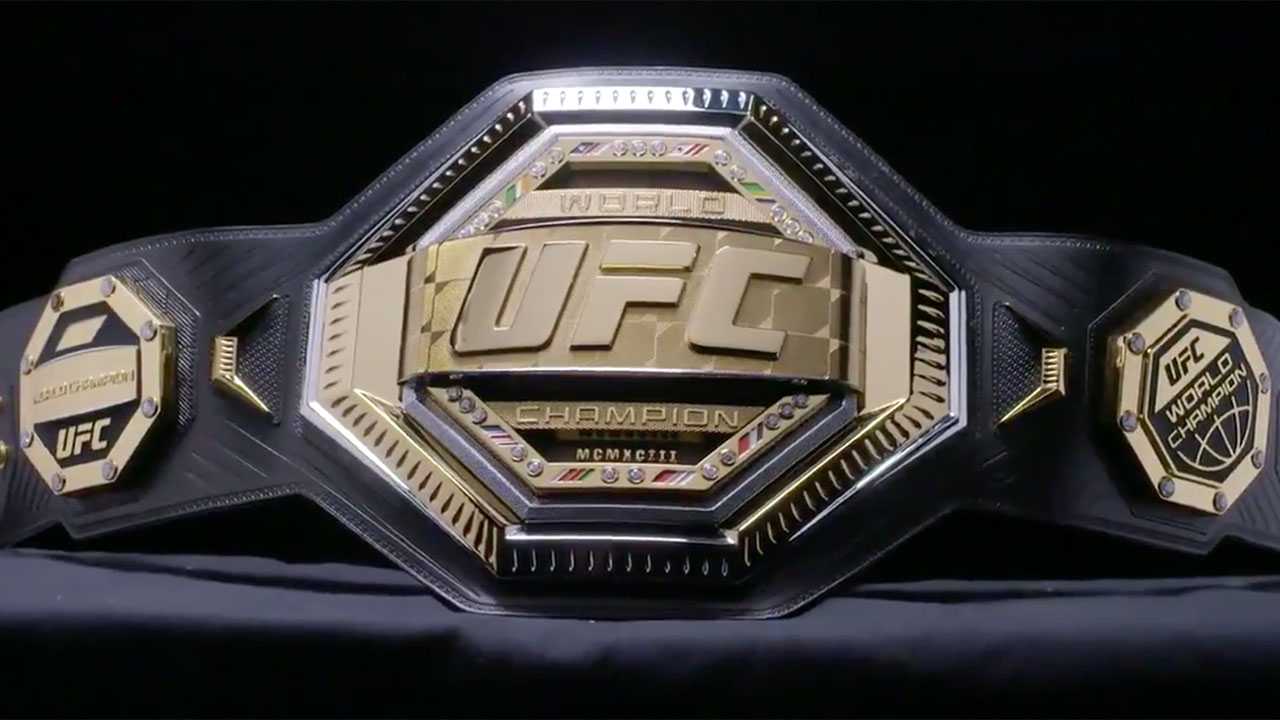 UFC 253
