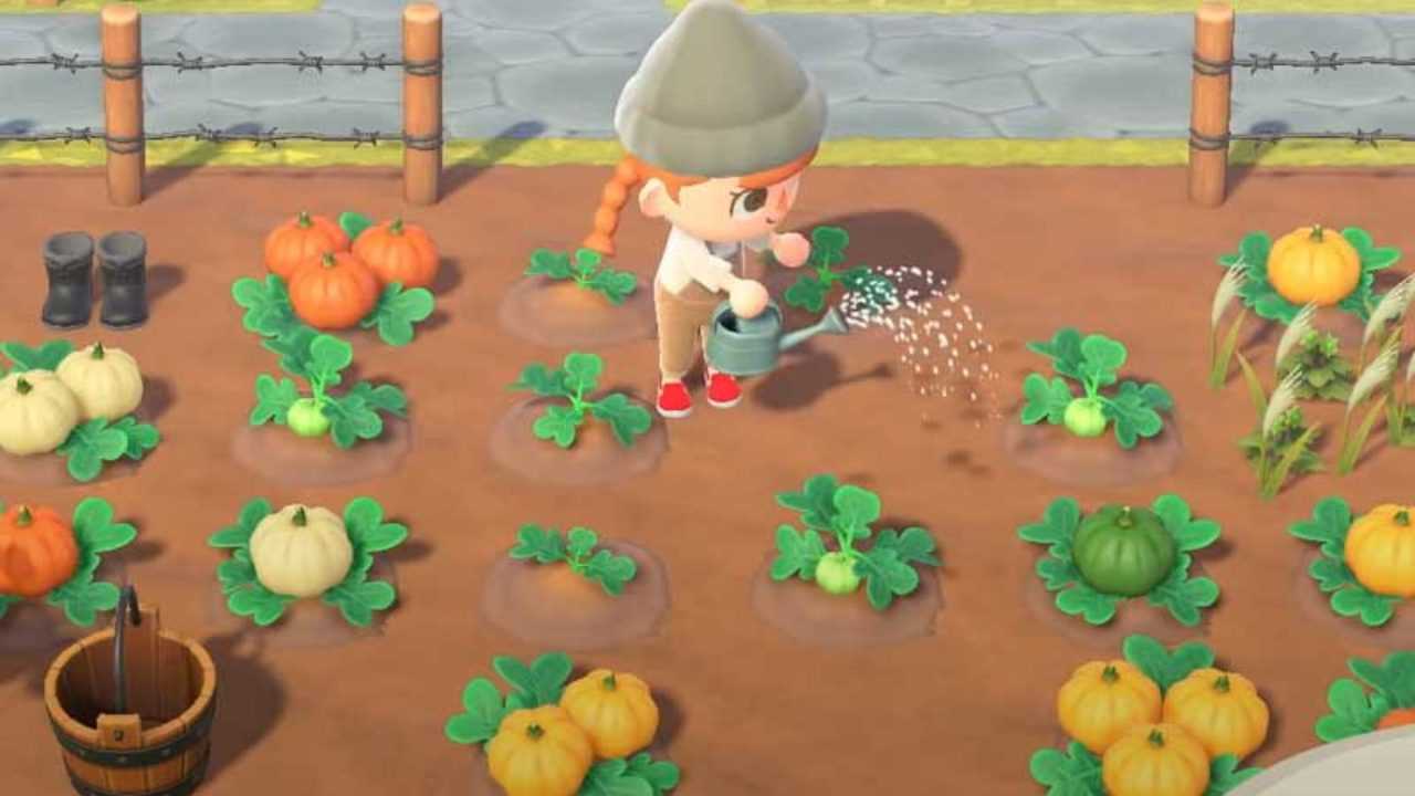 Animal Crossing: New Horizons - Un guide des citrouilles de ferme pour Halloween
