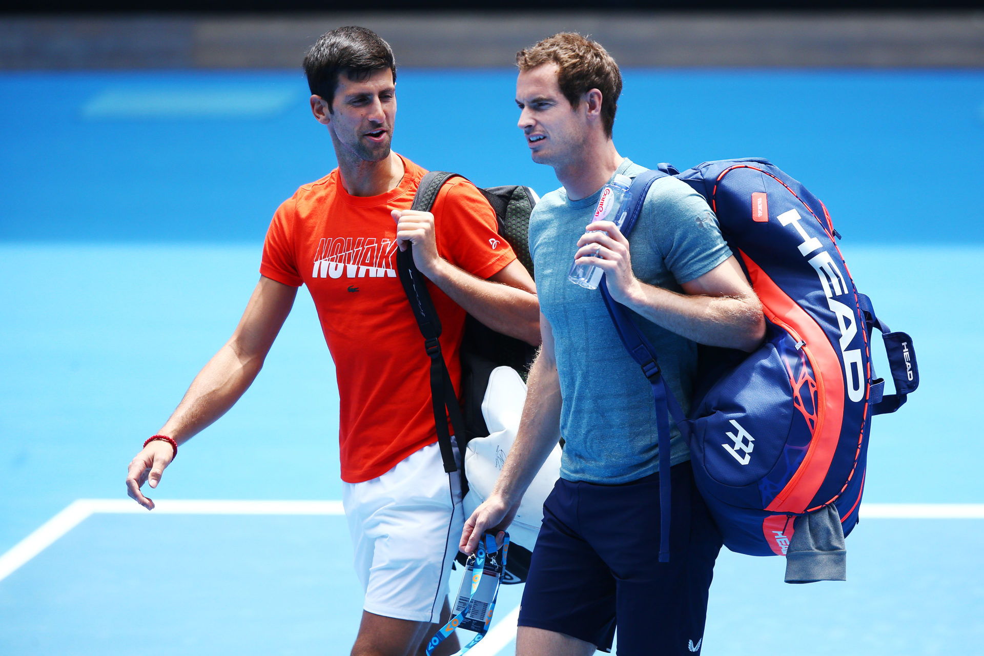 Andy Murray et Novak Djokovic - Open d'Australie