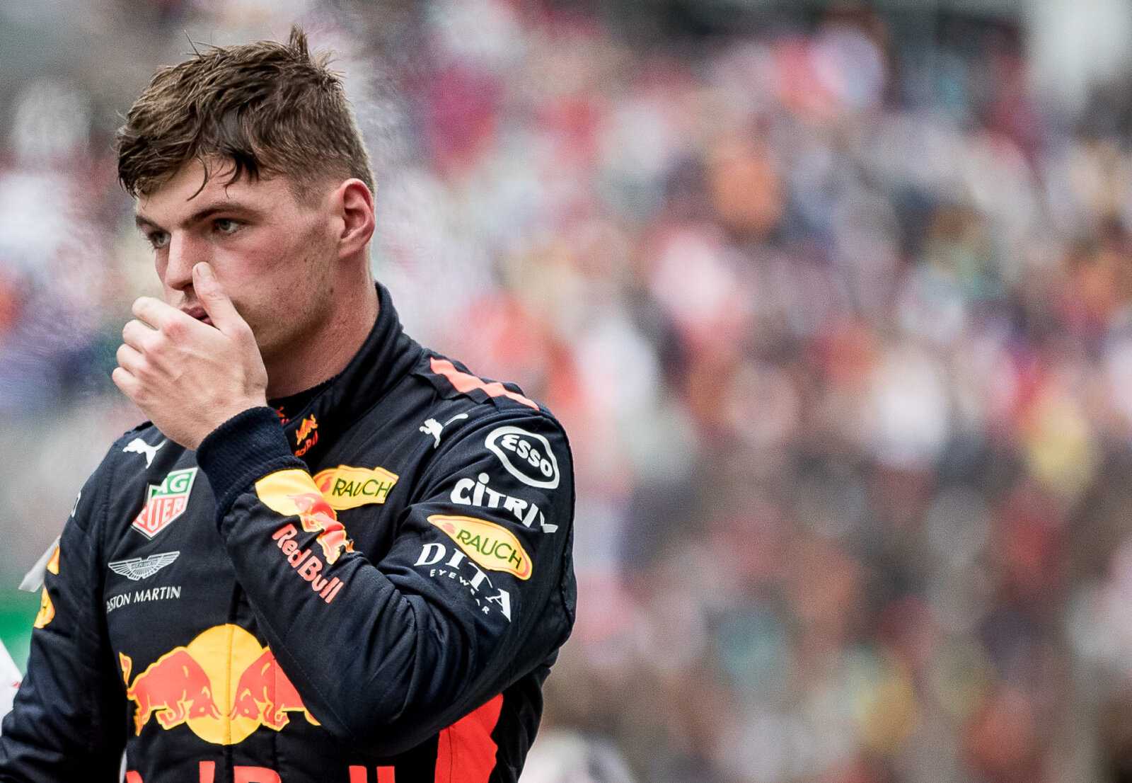 Pilote Red Bull Max Verstappen
