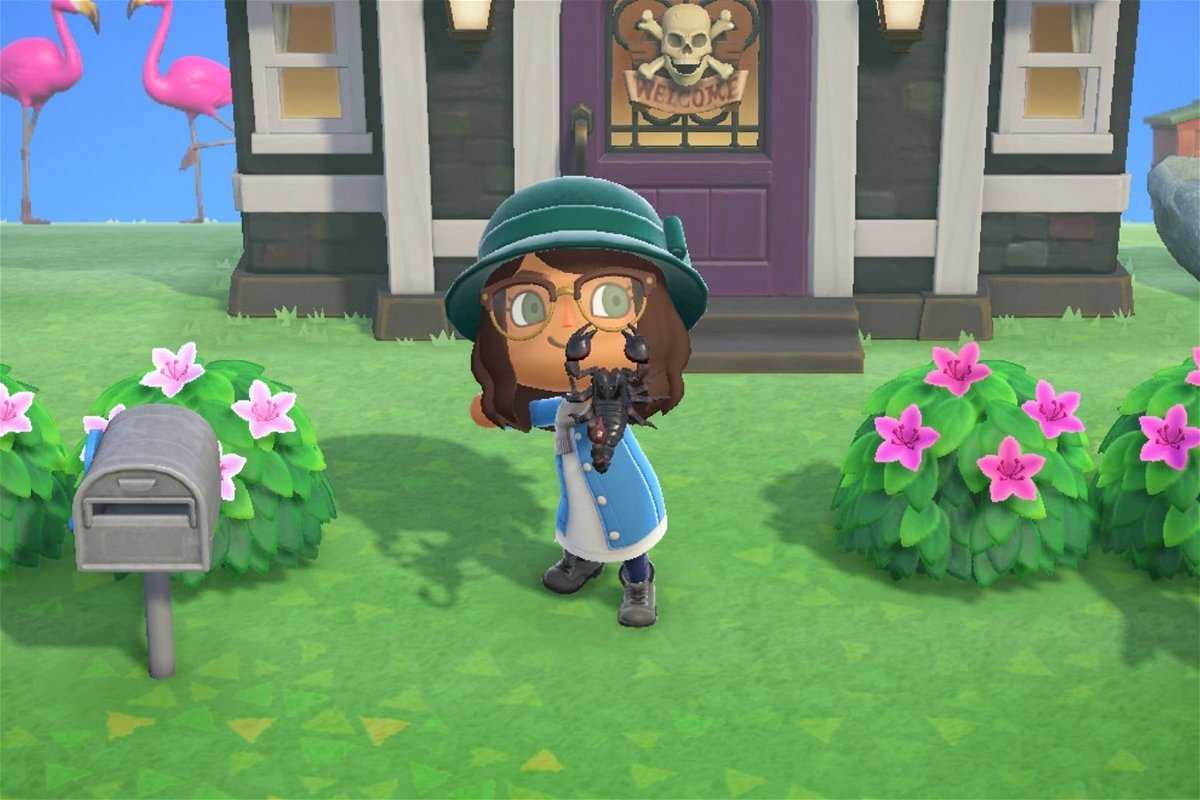 Animal Crossing: le fan de New Horizons fascine des millions de personnes avec un souffle approprié de l'hommage sauvage