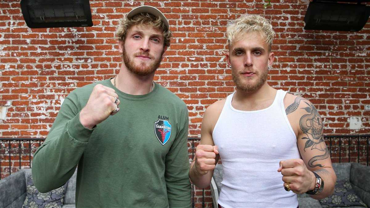 Un géant de la promotion de la boxe "a des preuves documentées" pour étayer une affirmation "majeure" concernant Jake et Logan Paul