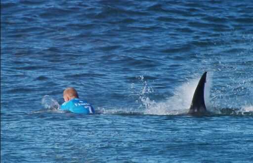L’incident de surf le plus effrayant de l’histoire a vu une mère regarder son fils se faire attaquer par un grand requin blanc à la télévision en direct