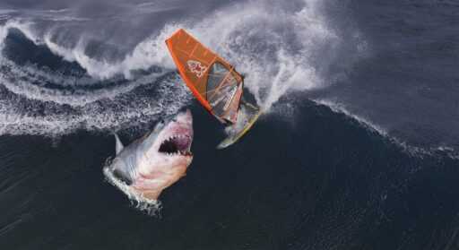 La morsure massive du requin emporte un morceau de la planche du surfeur