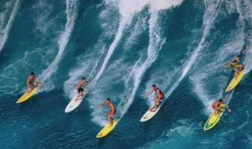 “Nous penserons que nous sommes à Hawaï !” : un restaurant de surf dans le nord du Texas crée le buzz au sein de la communauté