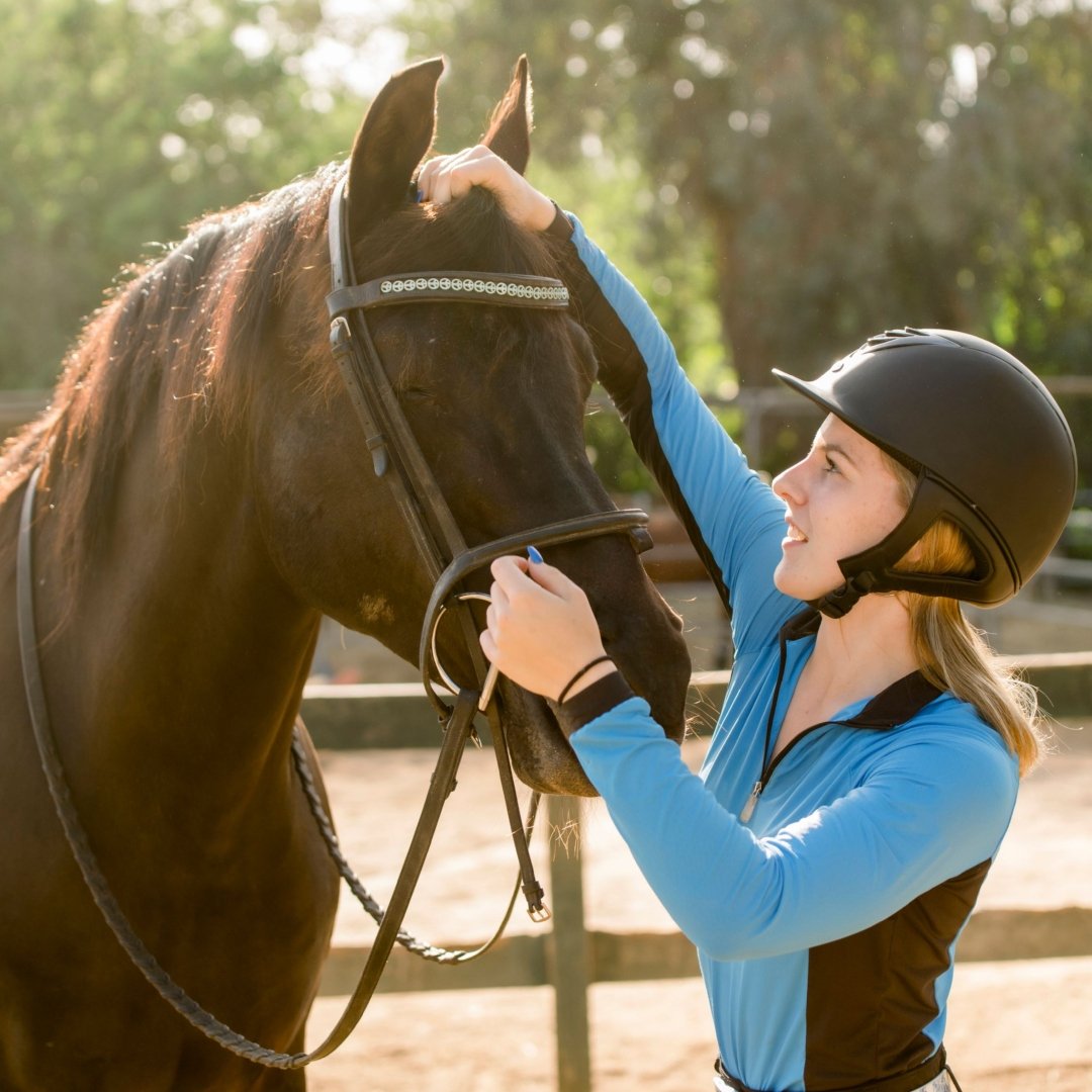 « S'engager positivement » : l'industrie équestre se met au défi de faire un effort supplémentaire pour le bien-être des chevaux
