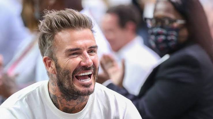 Tout n'est qu'action ici » – Victoria, l'épouse de David Beckham, accuse  son fils devenu avicole de ne pas avoir mis les poules « au lit » à Noël